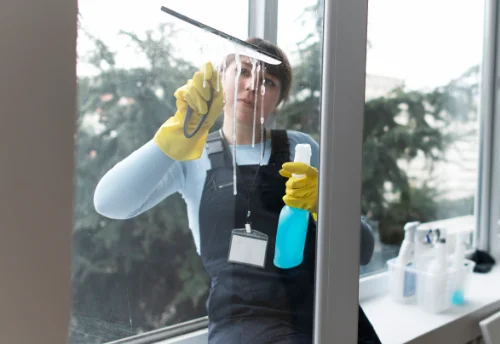 Nettoyage de vitres intérieures et extérieures à Saulgond